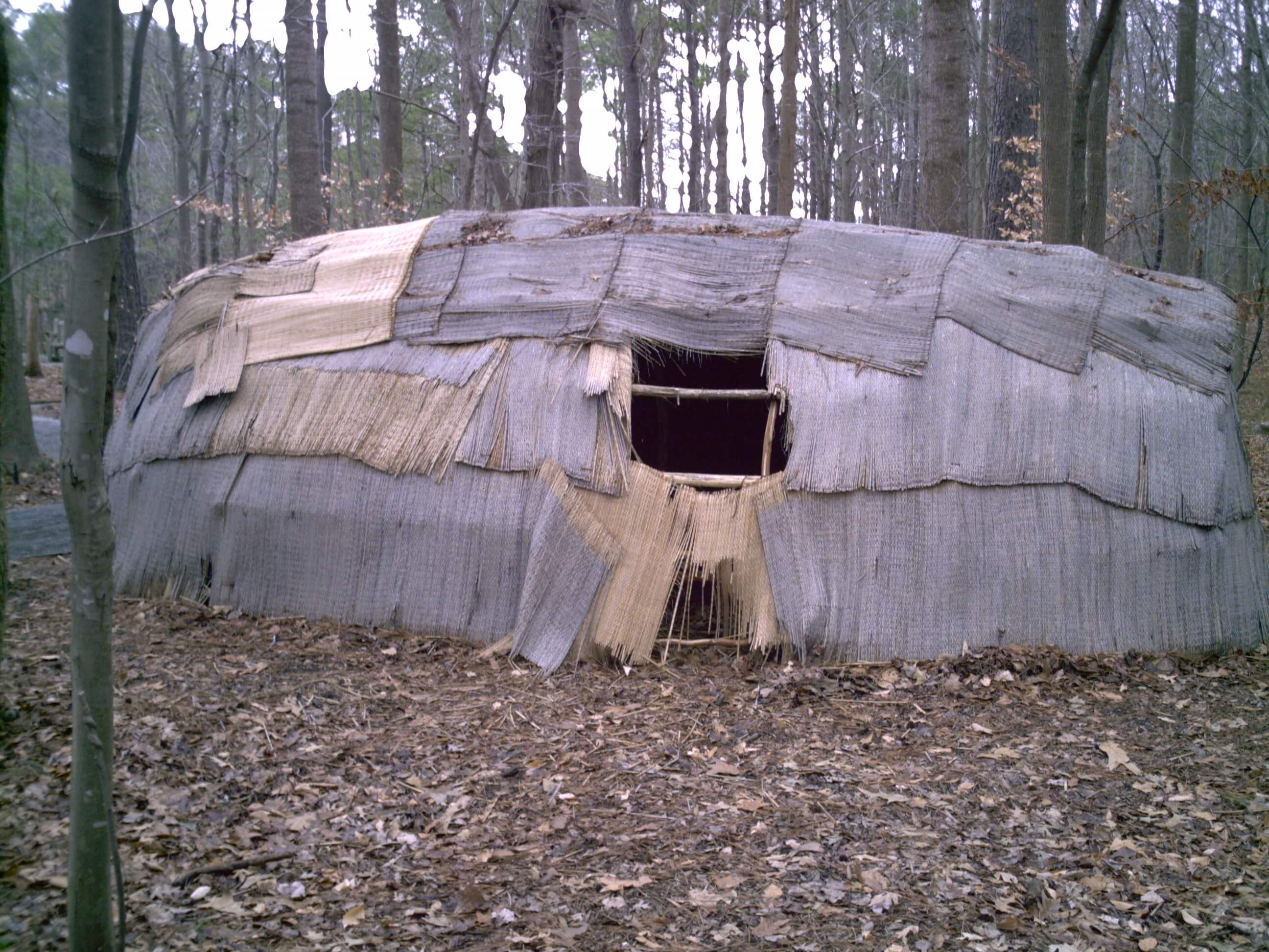 Oca Chesepiques Oca Chesepiques